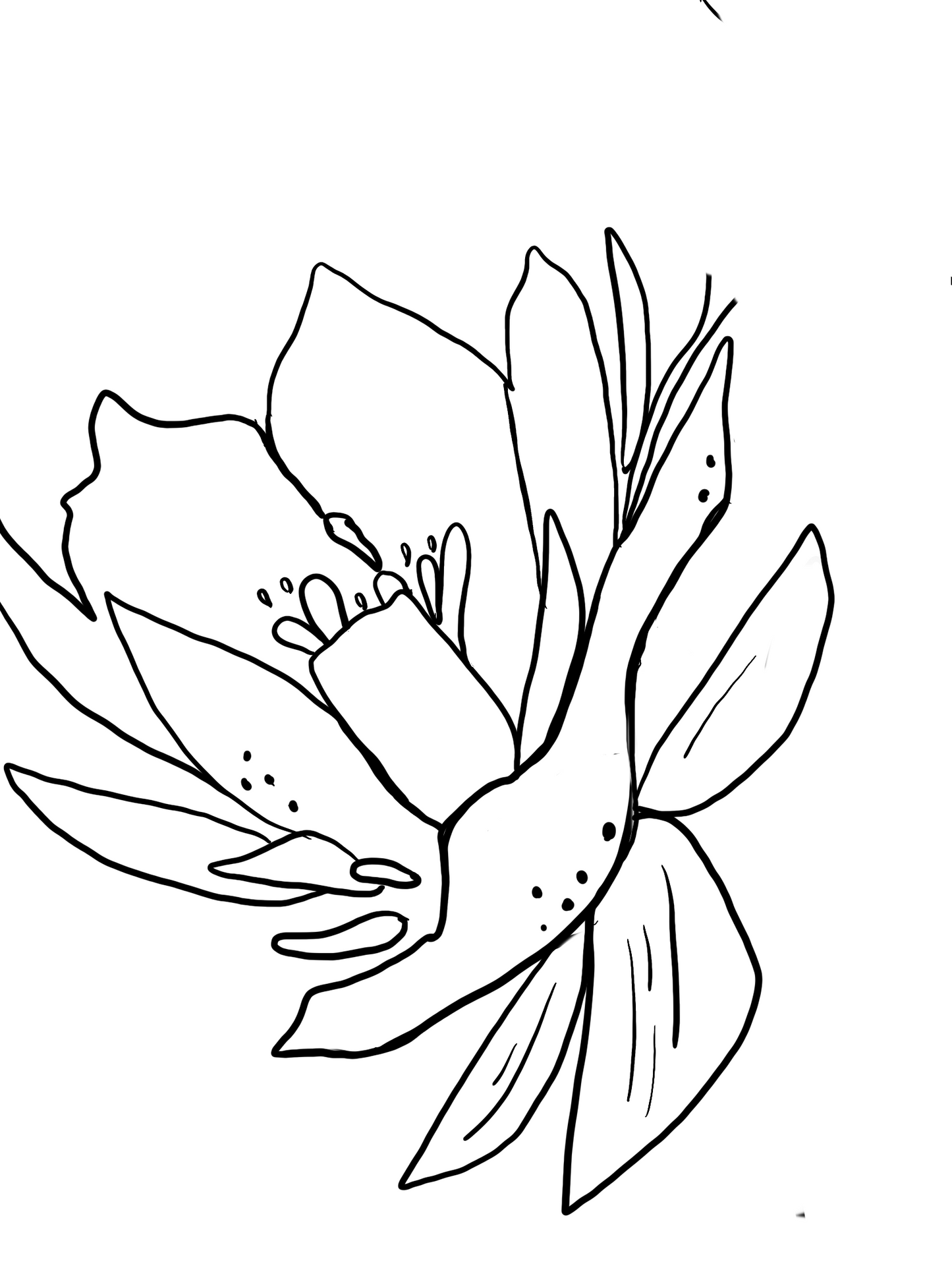 July Birth Flower Water Lilly (black and white)