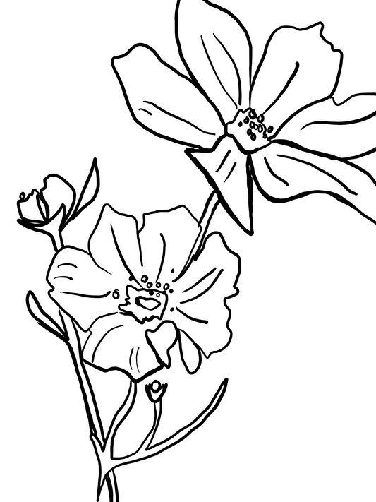October Birth Flower Cosmos (black and white)