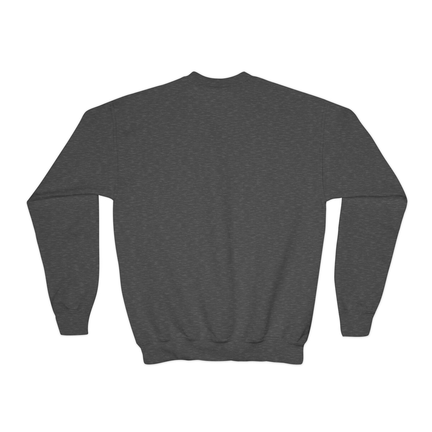 TPD Youth Crewneck Sweatshirt