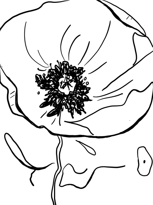 August Birth Flower Poppy (black and white)