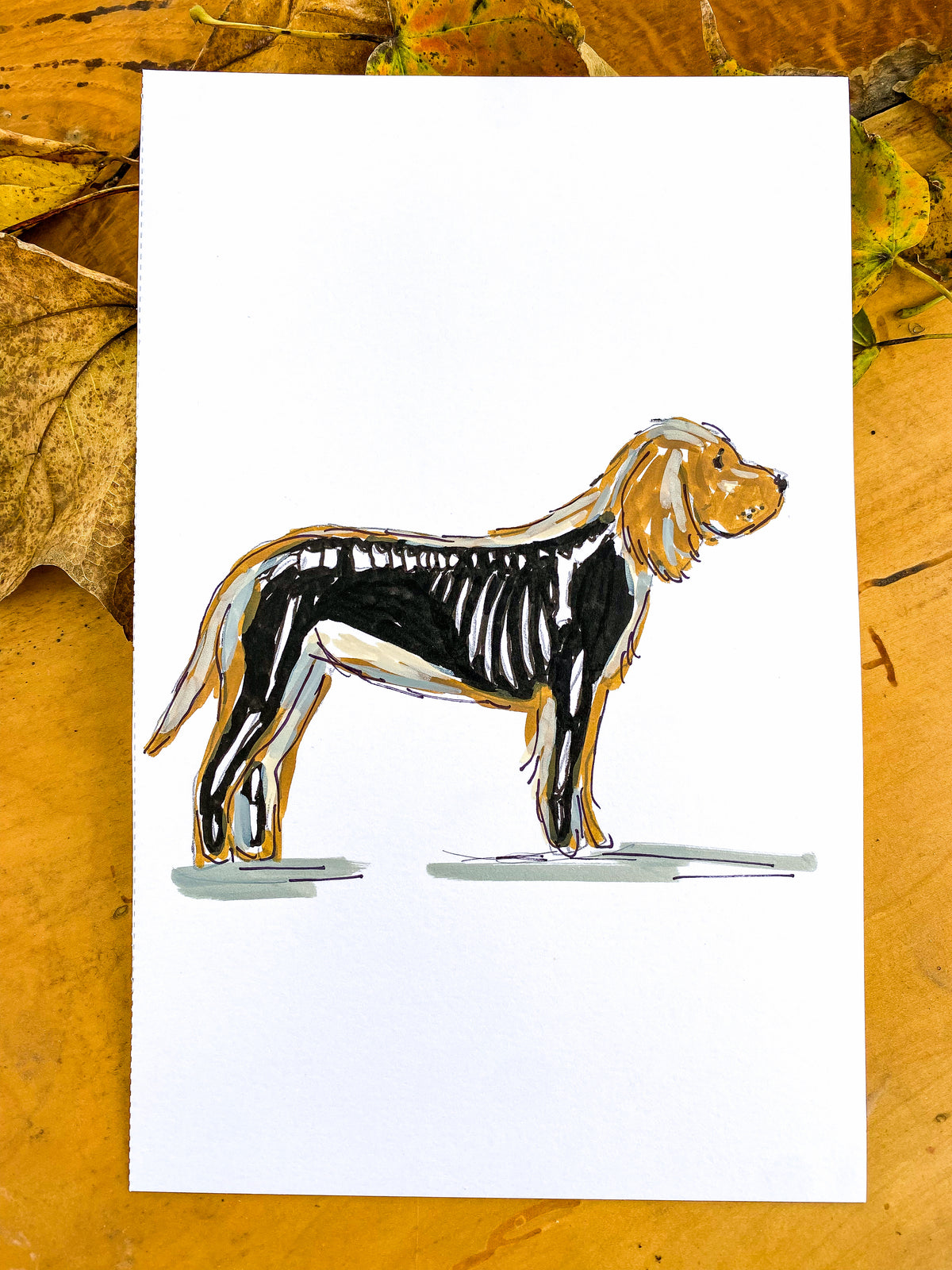 #052 - Bark to the Bone