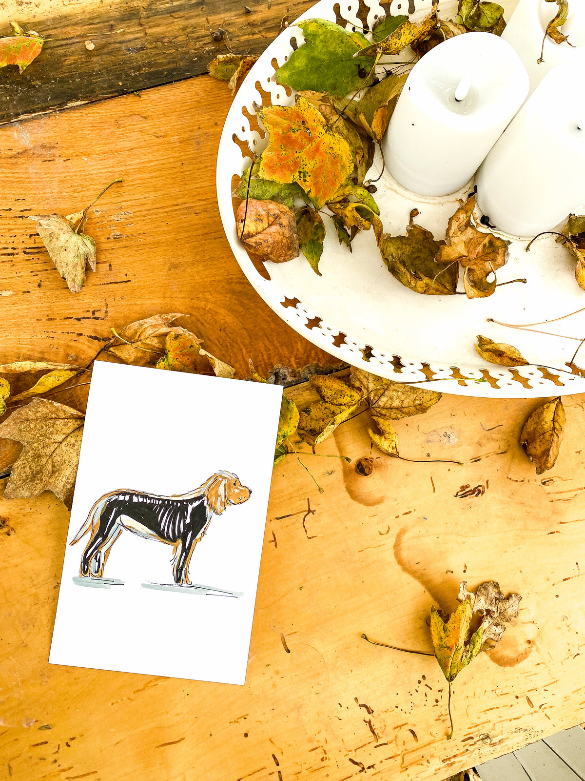 #052 - Bark to the Bone