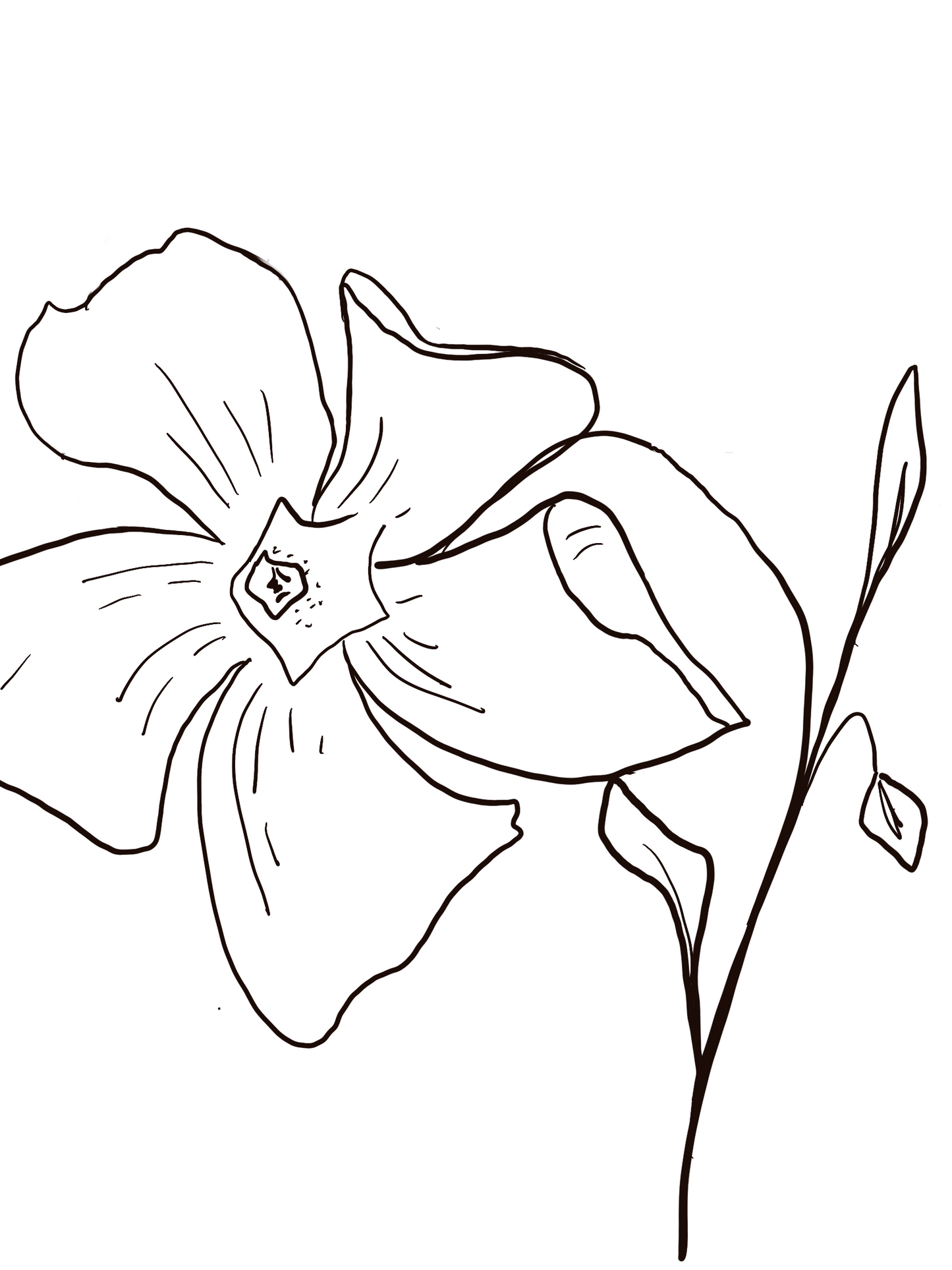 February Birth Flower Violet (black and white)