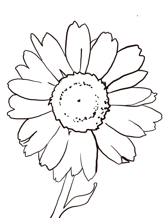 April Birth Flower Daisy (black and white)